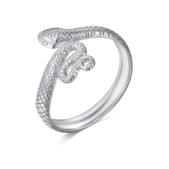 Silver Ring, Snake